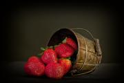 Image illustrant Fête des fraises de Samer