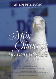 Image illustrant Expo Photo :  Mes oiseaux de bon augure