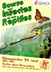 Image illustrant Bourse aux insectes et aux rptiles