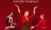Image illustrant Concert Flamenco