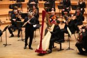 Image illustrant Orchestre de Douai, Concerto pour flte et harpe