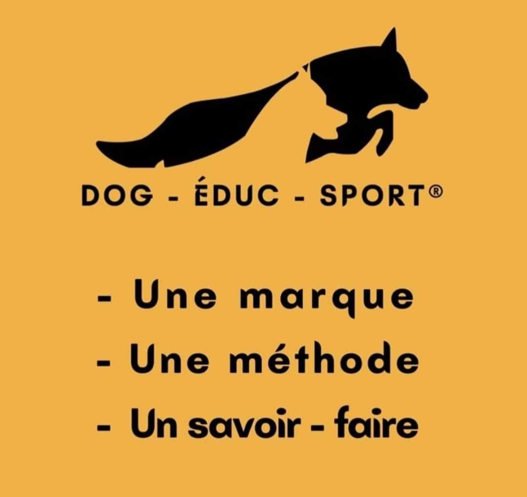 Dogeducsport