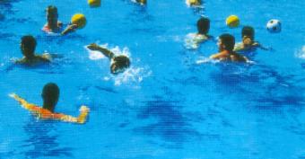Piscine rene leferme