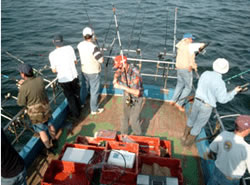 Peche en mer dunkerque