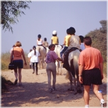 Cap equitation