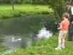 Etangs de maintenay
