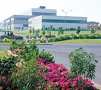 Arc international