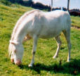 Centre equestre de la neuville
