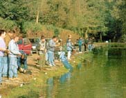 Les etangs de plaisis