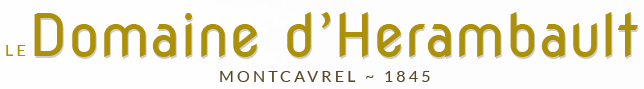 Le domaine h