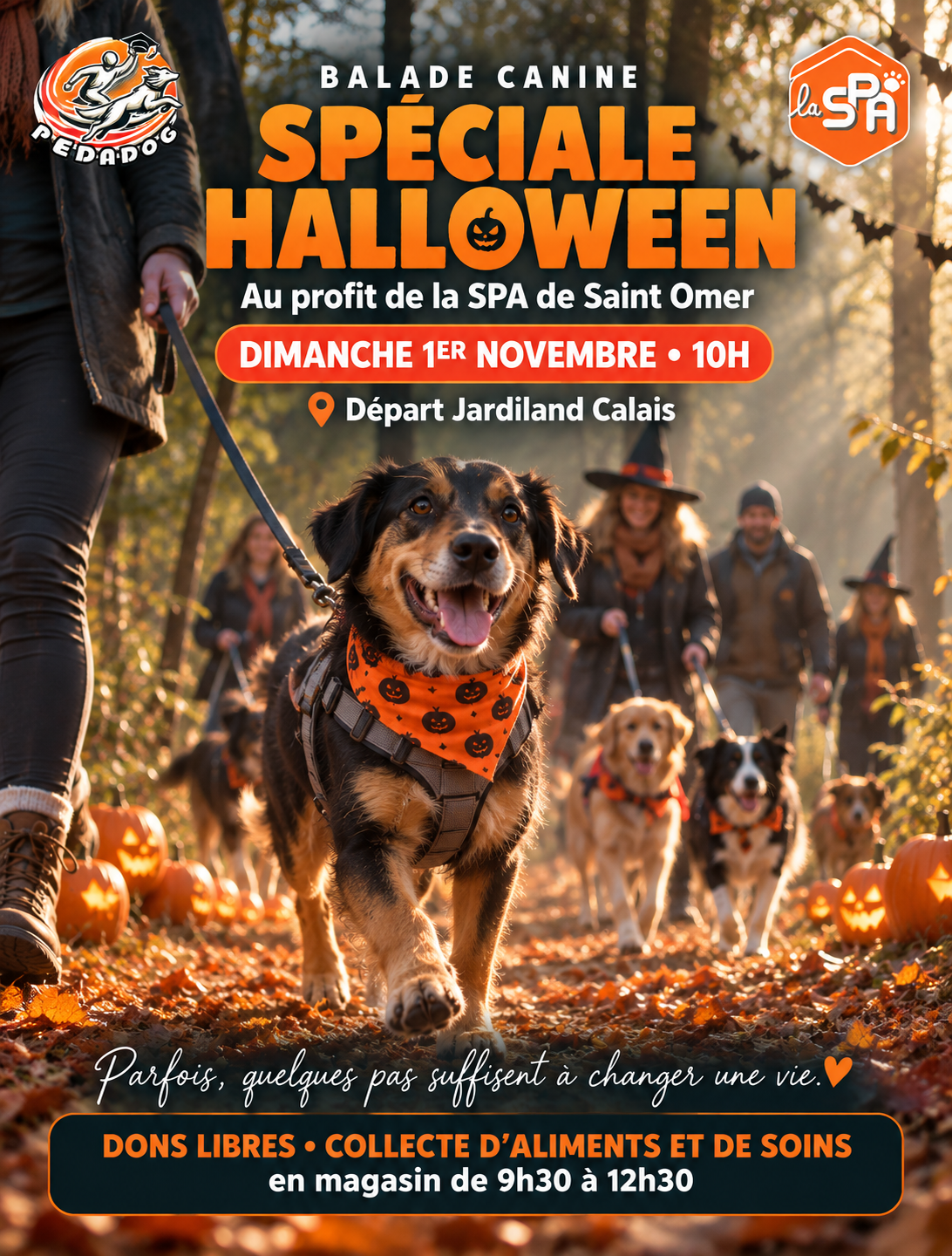 Balade Canine Halloween, au profit de la SPA — photo 1/1