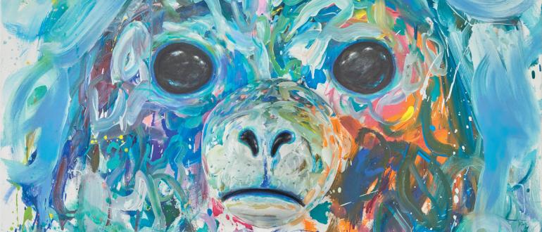 Visuel pour mondes arctiques – de l'alaska au nunavut