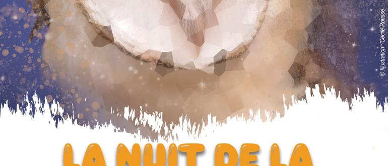 Visuel pour nuit de la chouette
