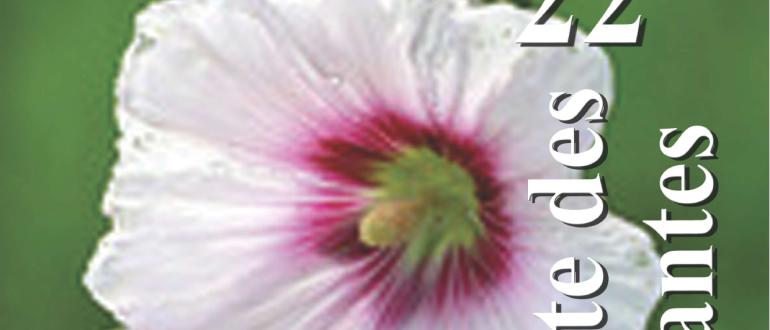 Visuel pour fête des plantes