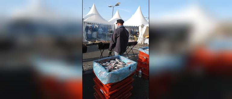Visuel pour fête du hareng - boulogne sur mer