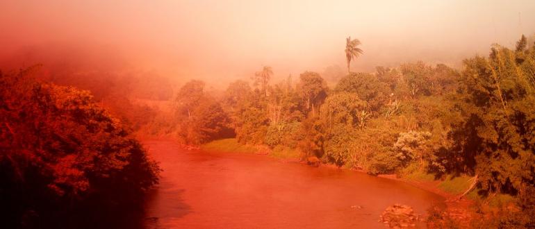 Visuel pour  photographie contemporaine brésilienne