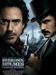 Image illustrant Sherlock Holmes 2 : Jeu d'ombres 