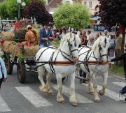 Image illustrant Fête cantonale
