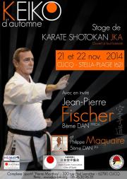 Image illustrant Stage de Karaté Shotokan