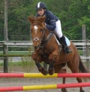 Image illustrant Equitation - Concours de Saut d'Obstacles Pro et Amateur