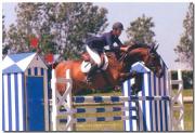 Image illustrant Equitation - Concours de Saut d'Obstacles Pro et Amateur