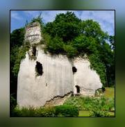 Image illustrant Vestiges du château féodal