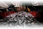 Image illustrant Exposition : «Reflets du large»