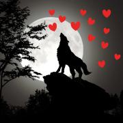 Image illustrant Rendez-vous à Thiercelieux