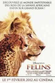 Image illustrant Felins : Le Royaume Du Courage