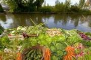 Image illustrant Marche traditionnel sur l'eau des hortillonnages
