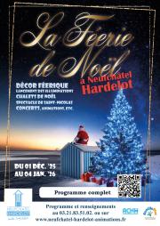 Image illustrant Féérie de Noel à Hardelot