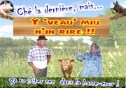 Image illustrant Y veau miu n'in rire !