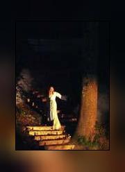 Image illustrant Les nuits enchantees