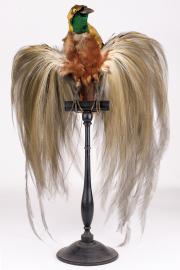 Image illustrant Visite des expositions