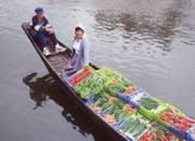 Image illustrant Marche traditionnel sur l'eau des hortillonnages