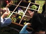 Image illustrant Atelier Jardinage dans une ancienne carrière