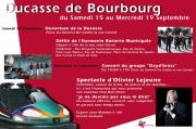 Image illustrant Ducasse de Bourbourg