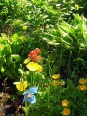 Image illustrant Jardin du Beau Pays à Marck