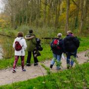 Image illustrant Perdons-nous dans les bois