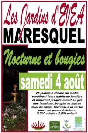 Image illustrant Nocturne et bougies