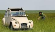 Image illustrant Rallye du Muguet