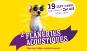 Image illustrant 2ème Edition des Flâneries Acoustiques