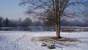 Image illustrant 4ème Concours Photo L'hiver insolite dans l'ouest amiénois