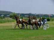 Image illustrant Courses hippiques